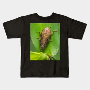 Unique and organic photo of a planthopper Kids T-Shirt